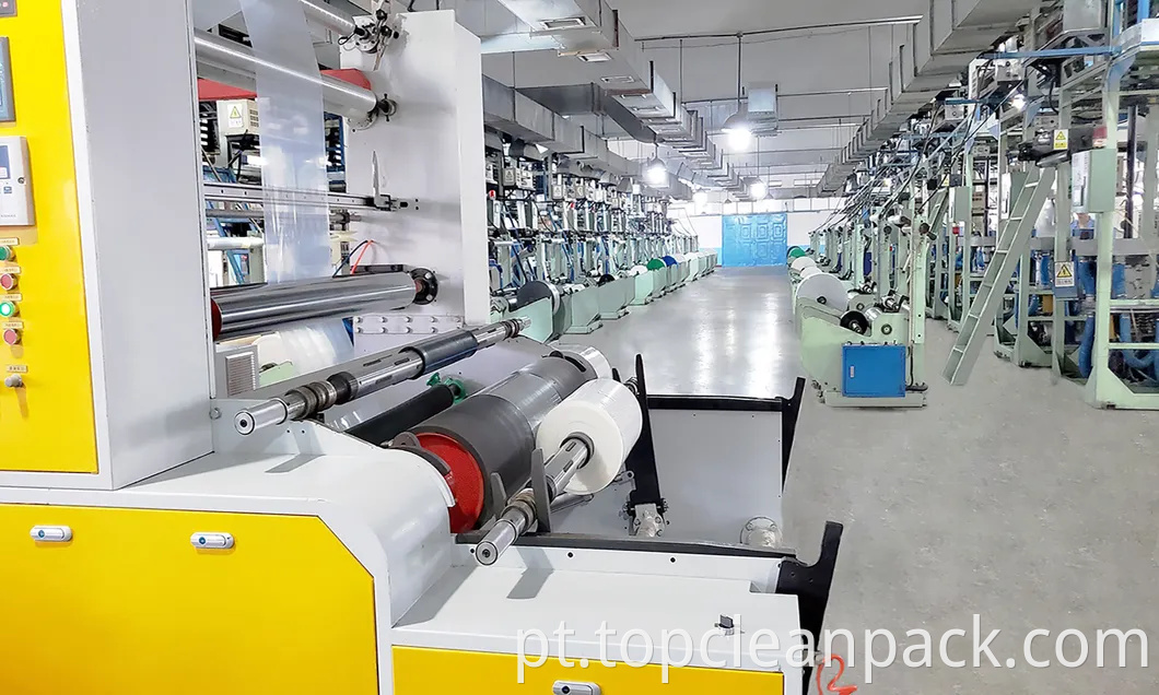 Bolsa de plástico de Bolsa de Bolsa de Correio personalizada